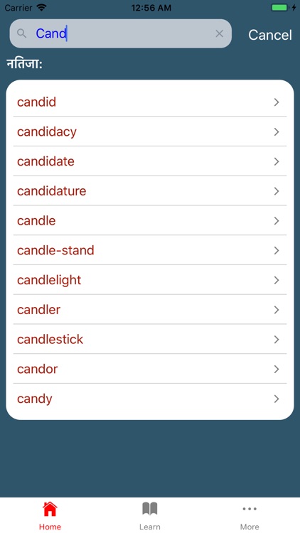 Nepali Shabdakosh screenshot-3