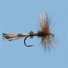 Fly Fishing Simulator - iPadアプリ