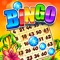 Play Bingo in a faraway land where YOU are the hero