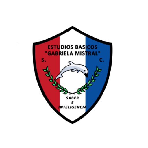 Estudios Basicos GAMI icon