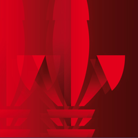 BIAF - Biennale Antiquariato