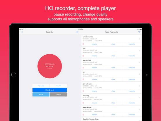 Screenshot #4 pour Instant Rec Lite: Audio Recorder & Voice Recording