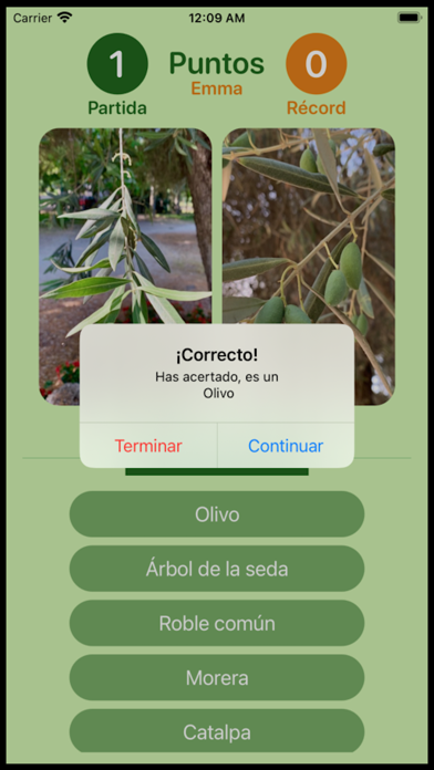 Que Arbol Es Screenshot