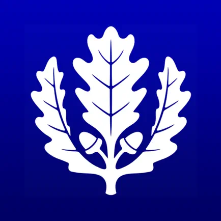 myUConn Читы