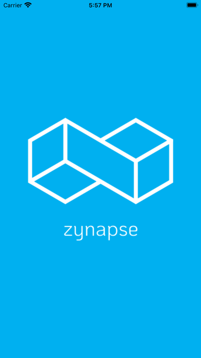 Zynapse Screenshot