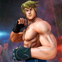 Real City Fighter Combat Games