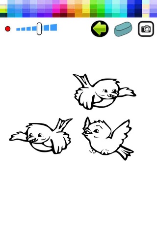 Bird Coloring Book For Kid screenshot 2