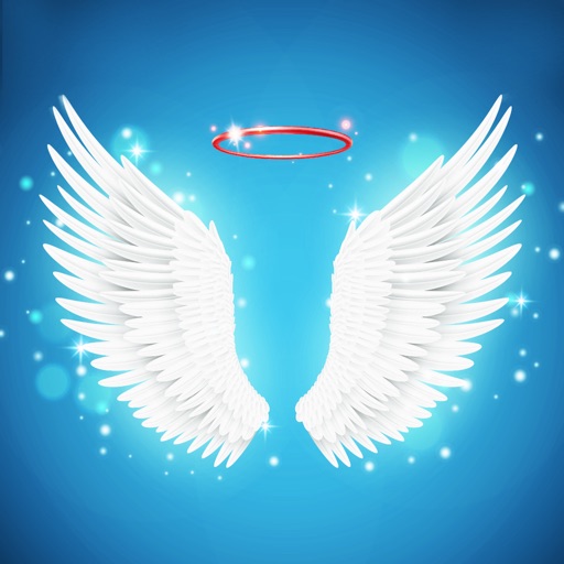 Angel Wings Cute Photo Editor Icon