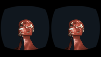 Head Anatomy - Virtual Reality Medicineのおすすめ画像3