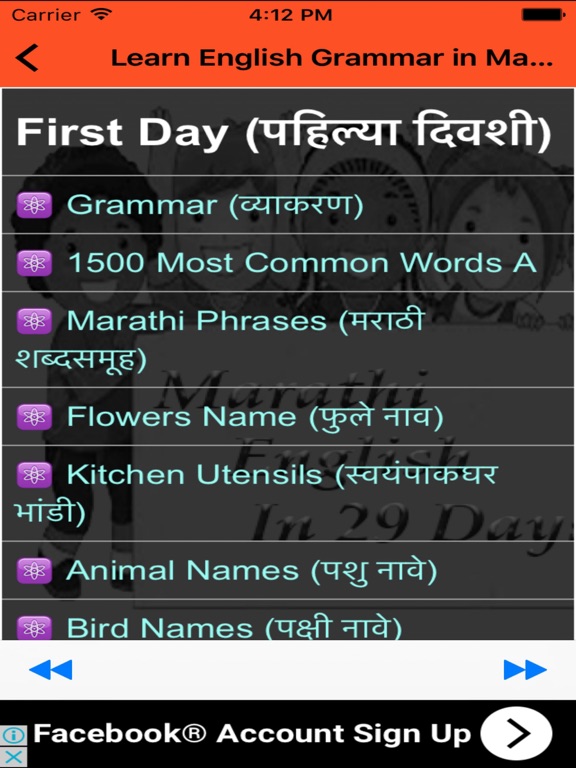 Learn English Grammar in Marathi iPad screenshot