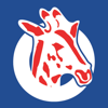 NBC Secure - NATIONAL BANK OF COMMERCE LIMITED