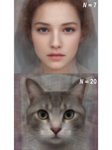 Average Face PRO（平均顔合成ツール）のおすすめ画像6