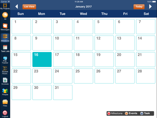 iDSProjects iPad screenshot