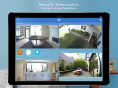 Nest iPad image 1