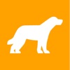 DogWalk icon