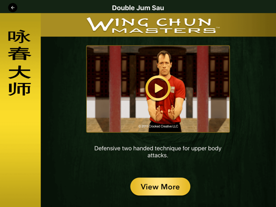 Screenshot #5 pour Wing Chun Masters 2 - HD