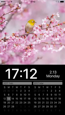 Game screenshot Japanese Nature Photo Clock apk