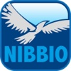 Nibbio