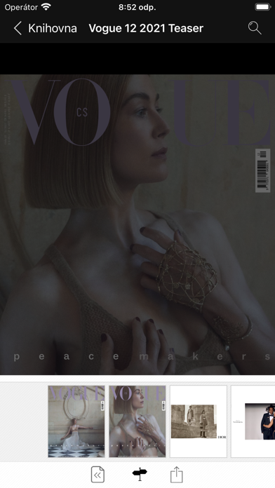 Vogue CS Screenshot