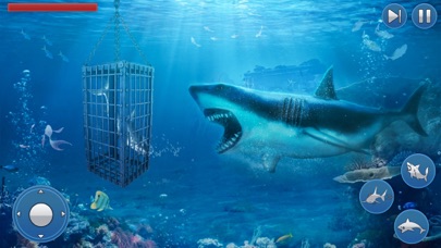 Survival Underwater Shark Game Screenshot
