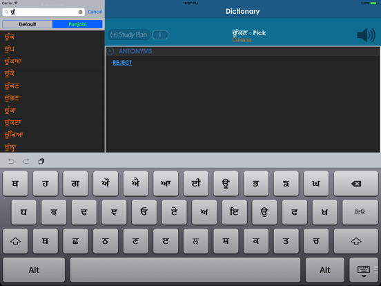 Screenshot #4 pour Punjabi Dictionary +