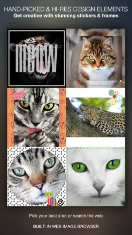 Game screenshot Meow Pics – Photo frames & stickers for cats mod apk