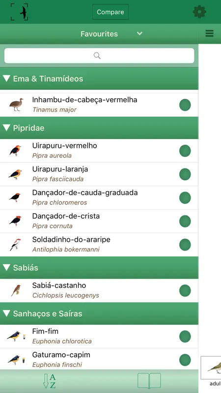 Pássaros do Brasil screenshot 4 of 5