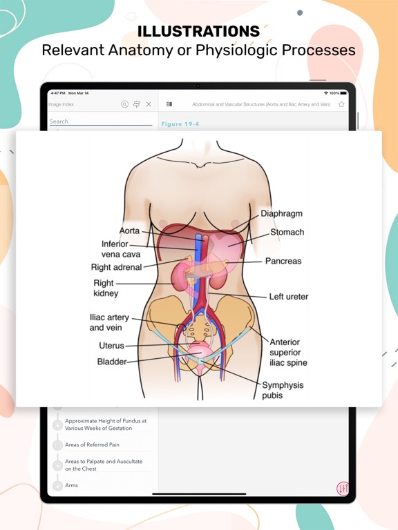 Screenshot #6 pour Nurses' HBK Health Assessment