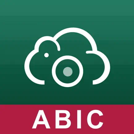 Abic Photos Читы