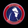 Dorking Wanderers FC