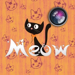 Meow Pics – Stickers et cadres photo pour chats
