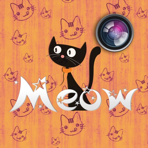 Meow Pics – Наклейки и рамки для фотографий кошек