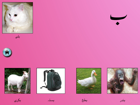 My First Book of Urdu HD iPad screenshot 4 - Book app