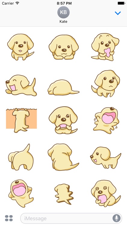 Labrador Retriever Dog Stickers for iMessage