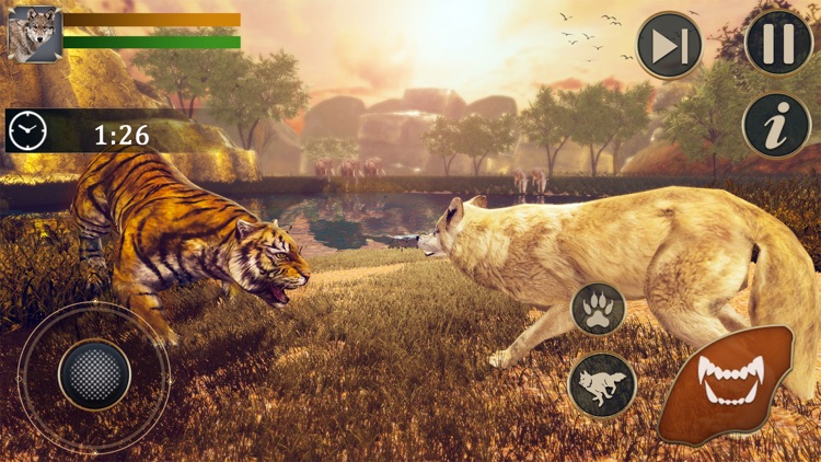 The Wild Wolf Life Simulator screenshot-5
