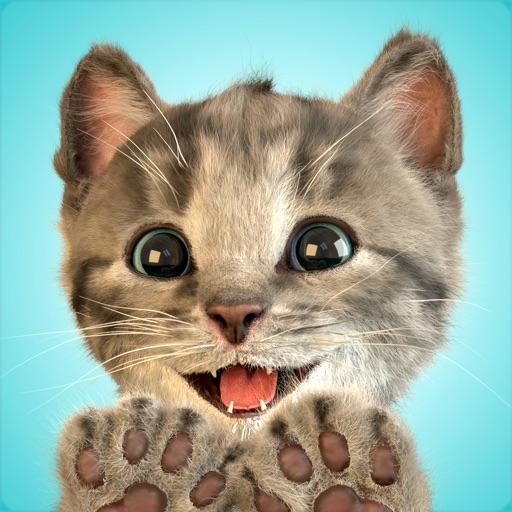 Little Kitten Favorite Pet Cat Icon