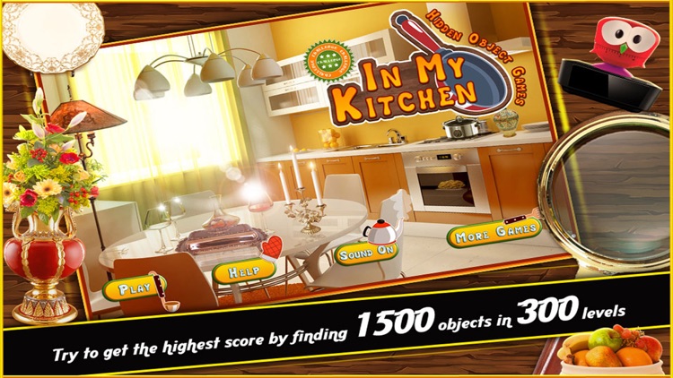 In My Kitchen Hidden Objects