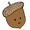 AcornExplorer icon