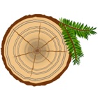 PineStem