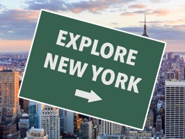 Wondering where to go during your visit to NYC