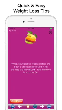 Game screenshot Diet Tips with Meal Plans apk