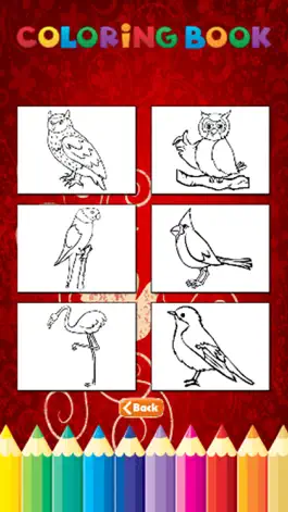 Game screenshot Bird Coloring Book - Activities for Kid hack