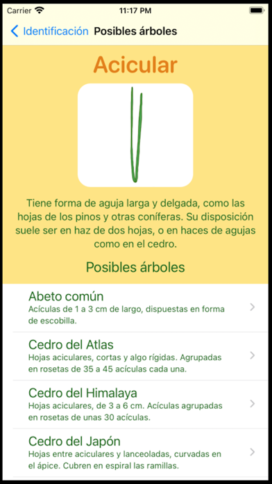 Que Arbol Es Screenshot