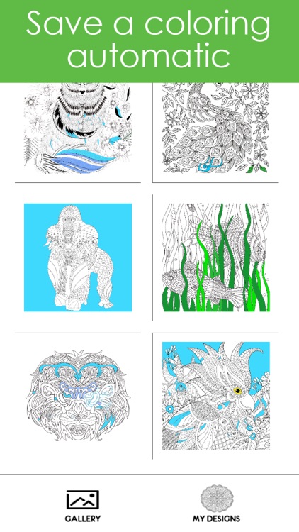 Animal Colorful - Coloring Book for Adults