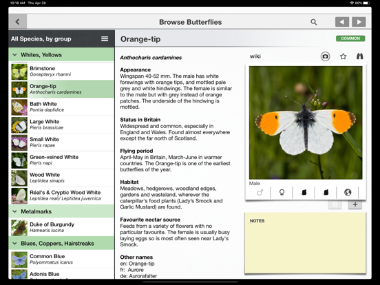 Butterfly Guide - Europe iPad app afbeelding 1