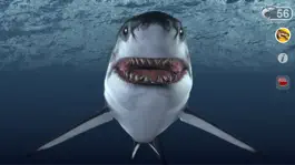 Game screenshot Talking Great White : My Pet Shark hack