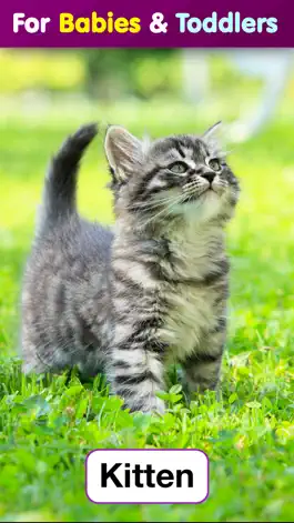 Game screenshot Toddler Flashcards: Learning Baby Kids Games Free apk