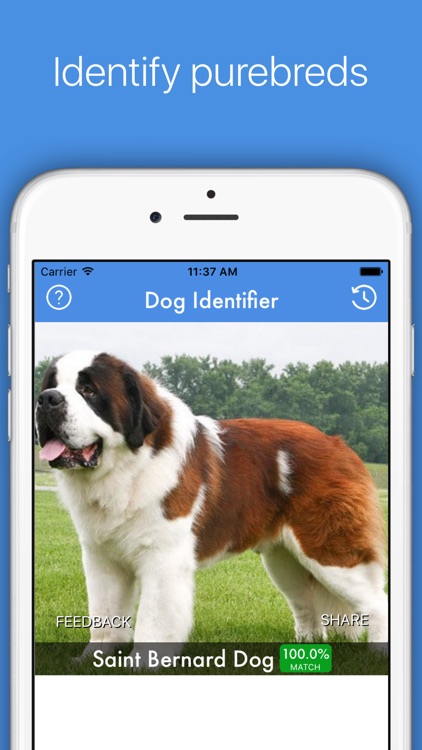 Dog ID - Dog Breed Identifier screenshot-3