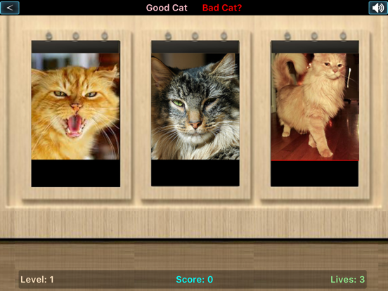 Screenshot #5 pour Good Cat Bad Cat