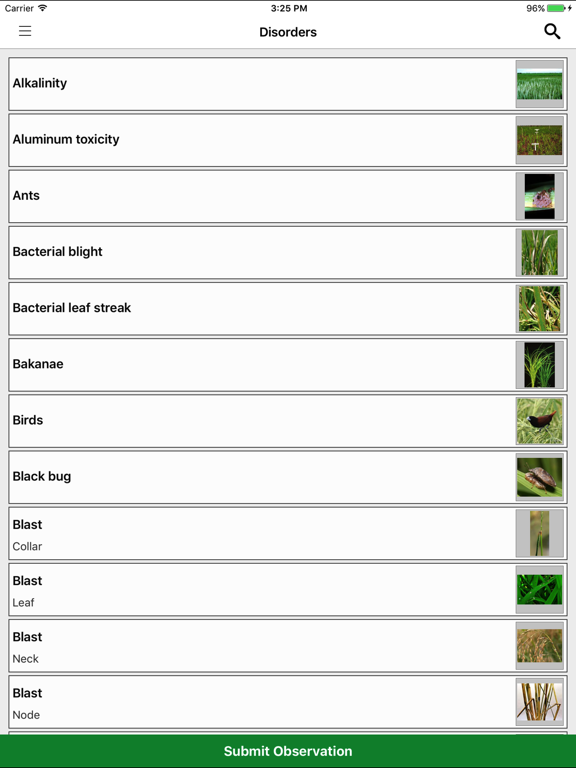 Screenshot #5 pour Rice Doctor